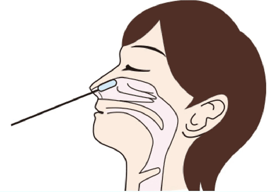 1.付属のスワブを、鼻腔から2cm程度挿入し、スワブを5回転程度回転させながら粘膜表皮を採取する。